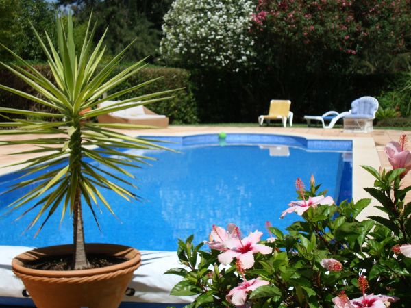 Cost of Pool Terrace Renovation in Port Orchard
